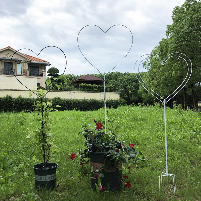 爱心花架植物攀爬支架室内外心形绿萝山乌龟铁线莲爬藤支撑植物支-图1