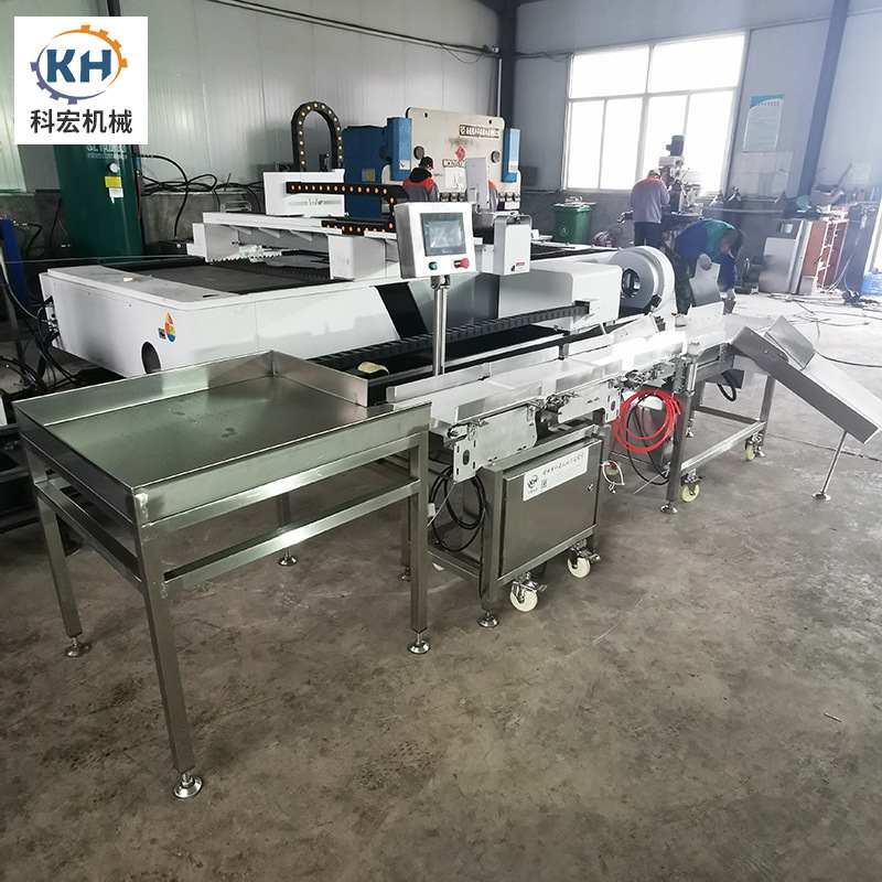 山东科宏皮带分选机单列 水果海鲜重量分选机 皮带式称重机检重秤,淘宝优惠券,粉丝福利购,淘宝优惠卷