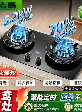 志高天然气液化气煤气灶双灶家用5.2KW翻盖式猛火燃气灶一级能效