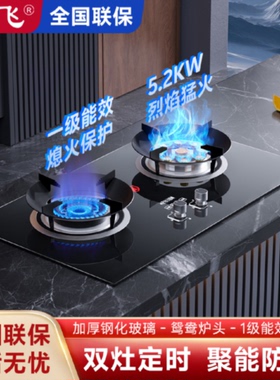 新飞家用台嵌两用天然气燃气灶液化气煤气炉猛火节能灶具煤气灶