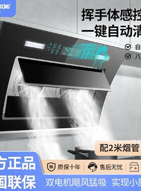 半球油烟机厨房家用大吸力侧吸油烟机出租房公寓油烟机双电机