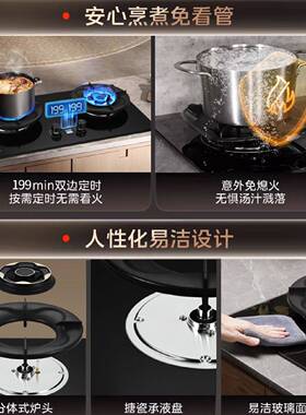 申花燃气灶双灶家用大火力九腔猛火煤气灶天然气液化气台嵌两用灶