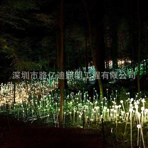 光纤草坪灯 LED户外导光条 光源机 户外装饰发光灯地插圆珠芦苇灯 - 图0