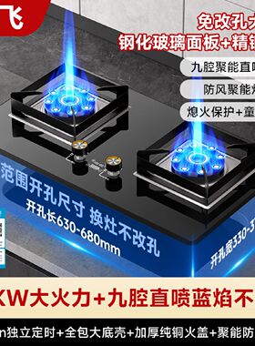 新飞直喷定时燃气灶煤气灶家用猛火天然气液化气嵌入式炉灶具