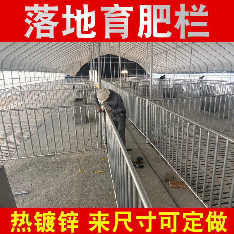 可定做母猪围栏保育栏育肥栏落地猪用羊用隔栏养殖猪圈羊圈围栏 - 图2