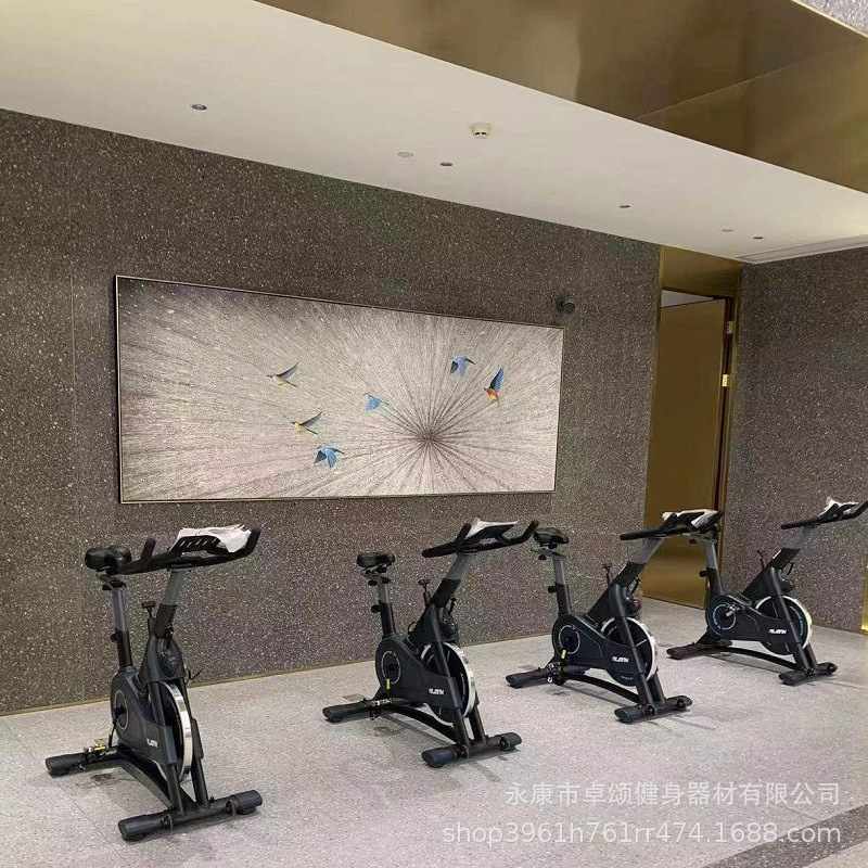 ZS aerobic fitness bicycle commercial gym exercise bike magnetically controlled dynamic riding bicycle