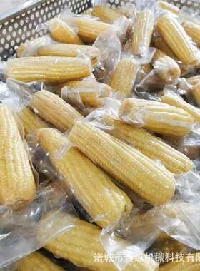 1100型滚动式食品大型真空包装机 糯玉米真空型包装 双封条