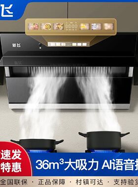 新飞油烟机家用双电机抽油烟机厨房侧吸式自动清洗大吸力吸油烟机