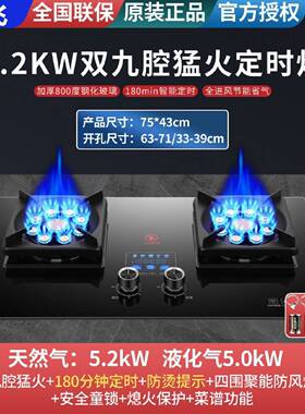 新飞燃气灶双灶家用猛火天然气台式嵌入式煤气灶液化气定时省气