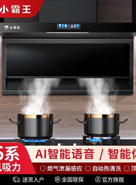 小霸王抽油烟机厨房家用大吸力自动清洗吸烟机顶侧双吸壁挂式语音