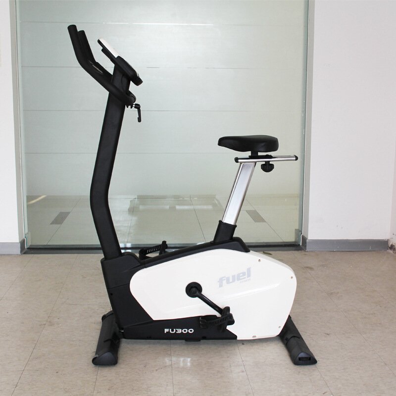 FU300 Magnetic Silent Mini Exercise Bike Indoor Sports Vertical Car Household Dynamic Bike