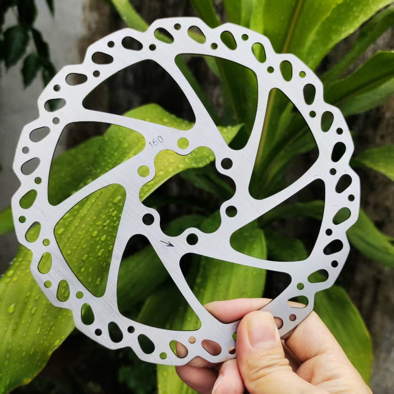 TEK. Silver Star ดิสก์เบรก รุ่น HS1 แผ่นเบรกสำหรับจักรยานเสือภูเขา ดิสก์เบรก แบบหกตะปู ขนาด 160 มม.