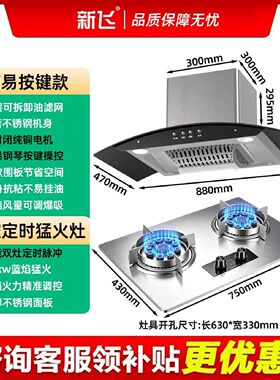 新飞家用弧形抽油烟机小户型厨房大吸力智能体感自动清洗烟机