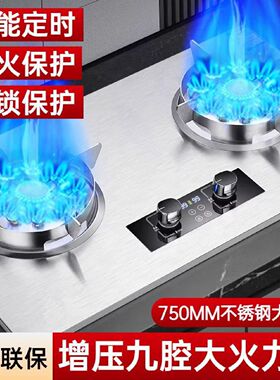 大火力家用定时煤气灶液化气天然气大面板燃气灶双灶嵌入台式灶