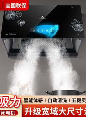 申花抽油烟机厨房家用顶吸中式大吸力脱排小型老式吸油烟机出租房