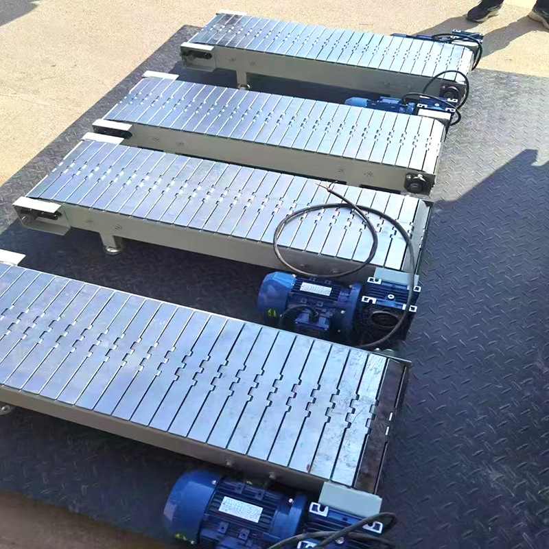 pom柔性链板线 塑料链板屠宰场平顶链板灌装啤酒输送流水线生产线,淘宝优惠券,粉丝福利购,淘宝优惠卷