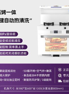 志高白色集成灶家用厨房变频消毒蒸烤一体灶升级气电两用集成灶