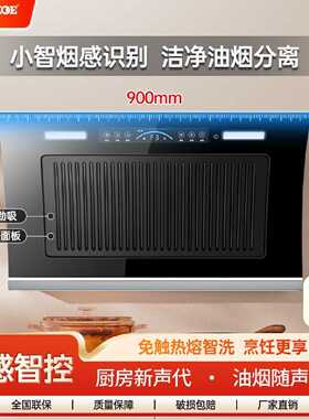 半球油烟机家用侧吸大吸力厨房壁挂式抽油烟机双电机自动清洗智能