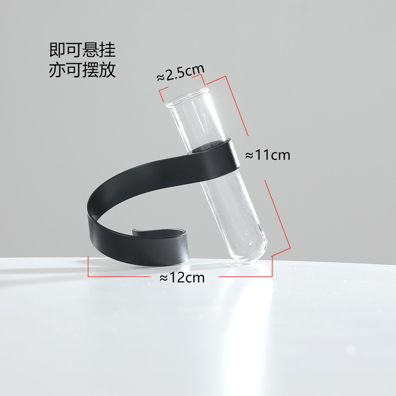 创意玻璃水培植物花瓶摆件铁悬挂批发客厅器试管桌面斜立摆放艺花 - 图1