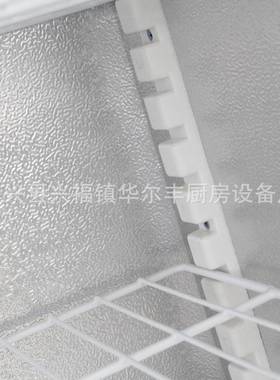 批发啤酒柜饮料柜留样柜小型冰柜食品冷藏展示柜食品留样柜