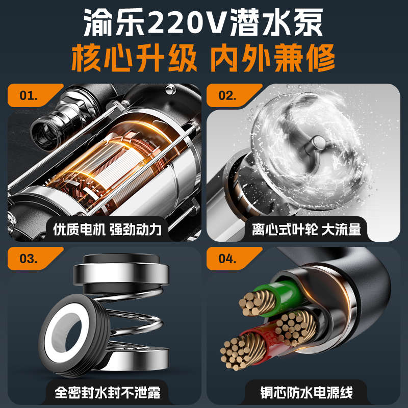 潜水泵220v小型不锈钢抽水泵家用抽清水机高扬程农用灌溉排污水泵 - 图0