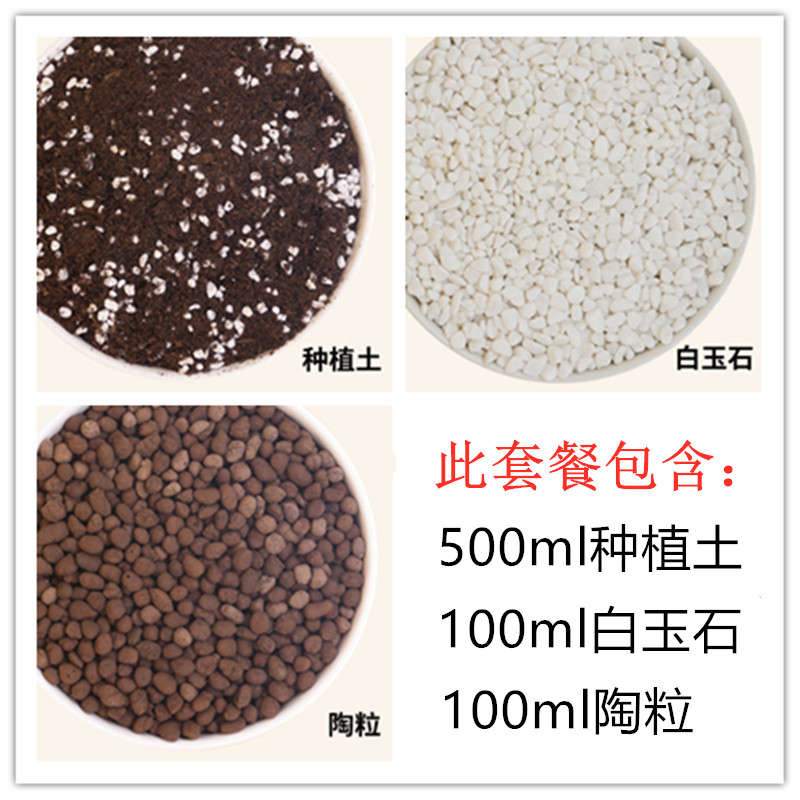 包邮 春节正常发货 多肉植物简约白色陶瓷长条花盆含底盘 - 图1