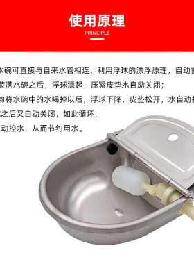 不锈钢牛用饮水碗水槽猪浮球喝水专用水碗养殖饮水槽羊自动饮水器