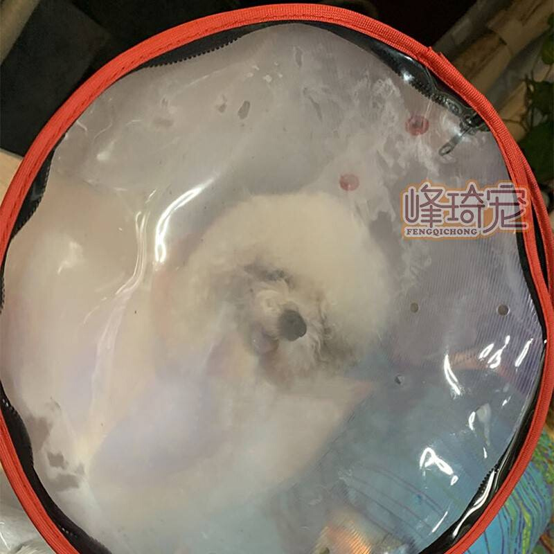 宠物狗狗猫咪雾化面罩吸氧气麻醉用猫鼻支狗咳嗽防抓防咬辅助用品 - 图2