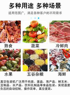 米砖双室真空包装机 泡椒凤爪酱牛肉包装机 袋装食品真空封口机械