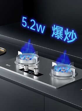 新飞双灶家用直喷猛火天然气燃气灶液化气煤气灶嵌入式台式炉具