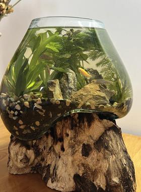 沉木枯木创意个性绿萝铜钱草玻璃水培花插 禅意 新中式小鱼缸摆件