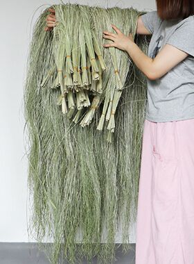 水烛叶丝水蜡叶干花花束垂挂型花艺装置美陈花材装饰材料婚礼装饰