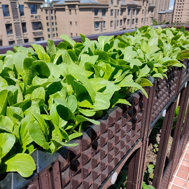 家庭阳台菜园塑料长方形花盆大号蔬菜种植箱屋顶庭院露台种菜神器 - 图1