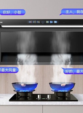 半球大吸力抽油烟机厨房家用新款7字型顶侧双吸出租房抽油烟机