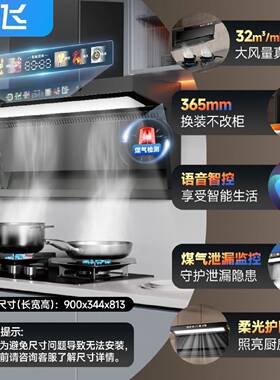 新飞油烟机顶侧双吸抽油烟机家用厨房大吸力壁挂式自清洗吸油烟机