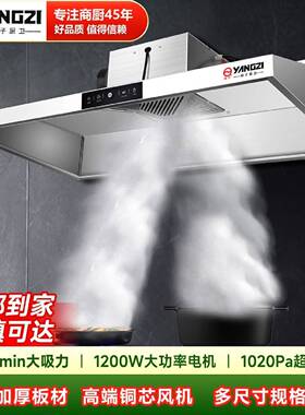 扬子商用抽油烟机大吸力油烟机小型饭店餐饮厨房烟机不锈钢排烟罩
