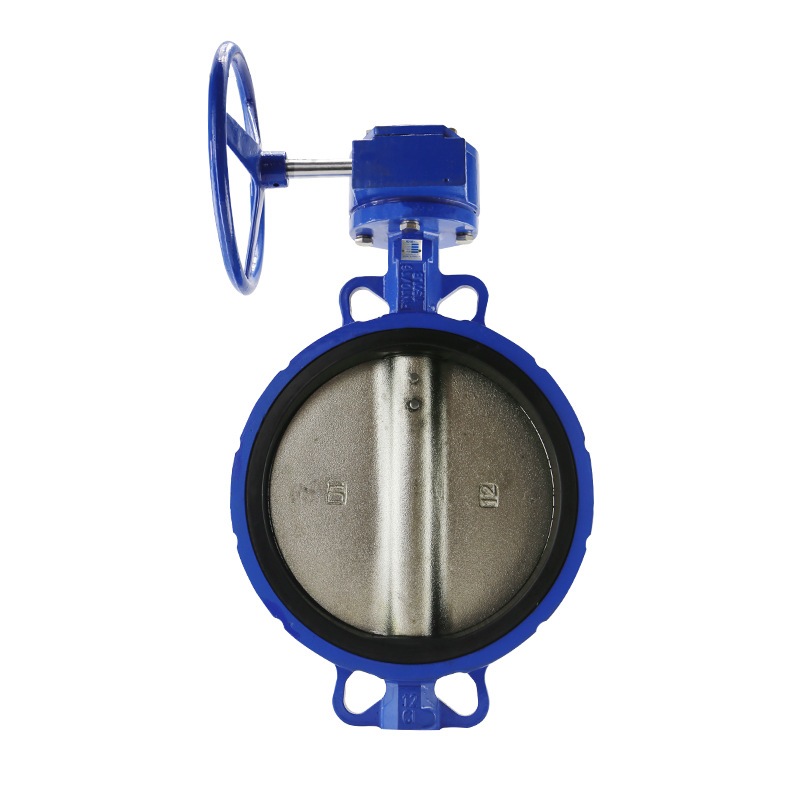 涡轮对夹式蝶阀球墨铸铁/铸钢手动蝶阀D371X-16Q软密封蝶阀 dn250 - 图3