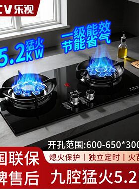 乐视燃气灶厨房家用天然气液化气灶台嵌两用定时九腔燃气灶