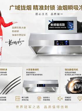 变频抽油烟机商用大吸力净化一体机餐饮饭店农村土灶不锈钢排烟罩