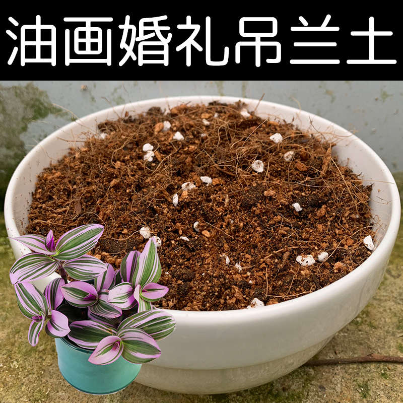 油画婚礼吊兰土油画婚礼专用土酸性土椰糠泥炭土壤种植营养土花肥 - 图2