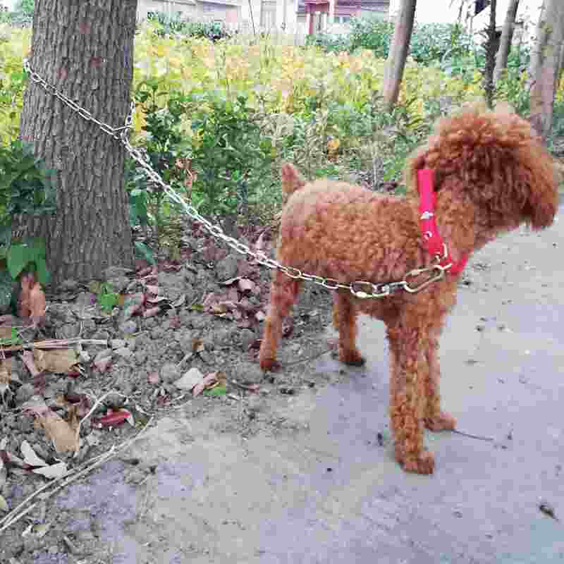 304不锈钢狗链子大型犬中型犬小型犬铁链项圈狗绳防咬家用牵引带-图0