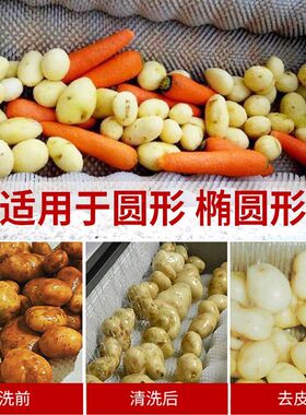 土豆去皮机商用红薯萝卜莲藕姜全自动清洗一体机不锈钢土豆脱皮机
