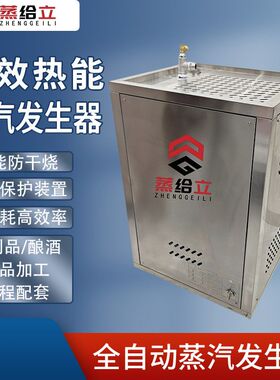 燃气蒸汽发生器天然气煮浆机酿酒蒸馒头商用锅炉煮蒸汽机节能豆腐