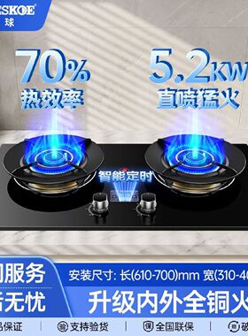 半球燃气灶家用双灶煤气灶天然气炉液化气灶猛火灶台一级能效
