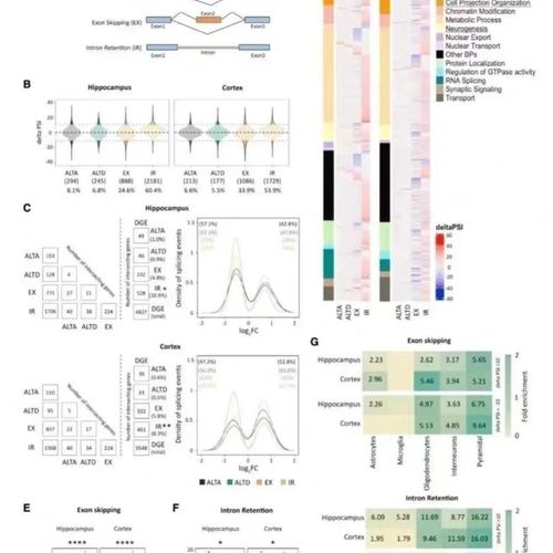 生信 生信分析 生物学 基因学 sci指导 卷积神经网络 matlab 求解 - 图1