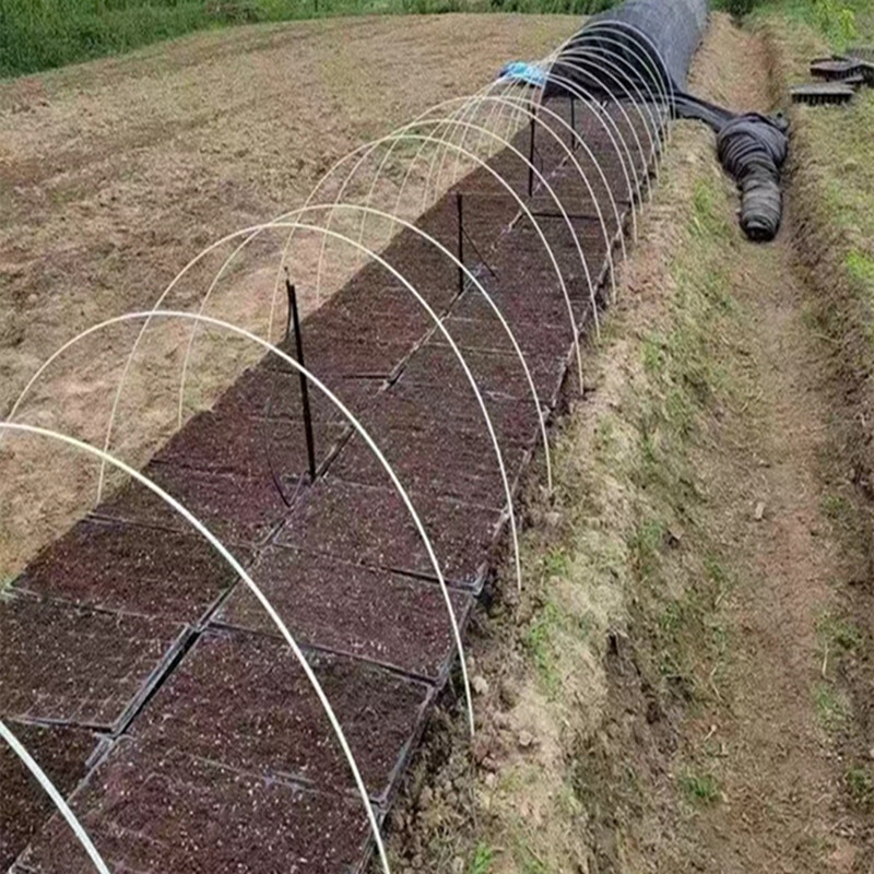 小拱棚支架拱杆竿大棚内棚套棚骨架爬藤玻璃纤维杆地膜园艺农用业 - 图0