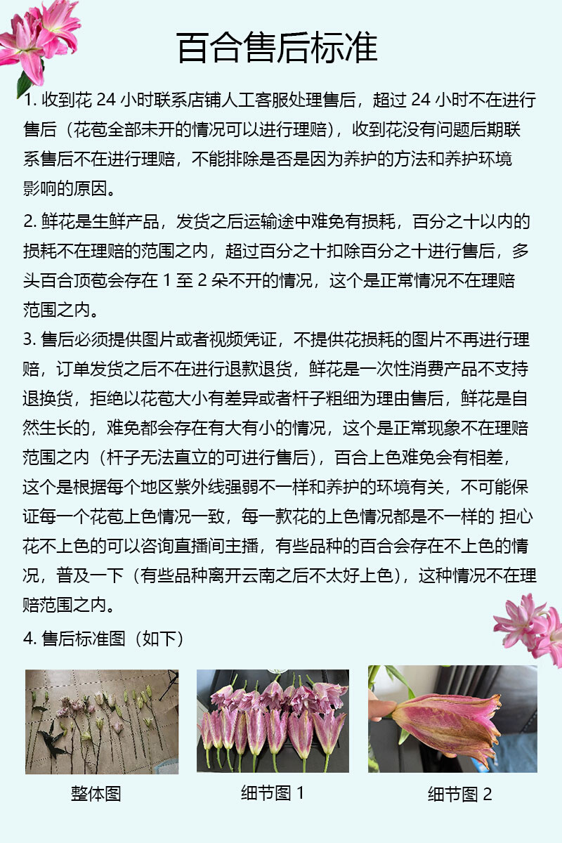 黑色魅力亚百合小花苞无香（10%不售后零下拍保温拒收不售后）