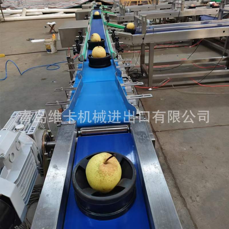 水果糖度检测分选机 桃子无损分选机价格 全自动橙子选果机厂家,淘宝优惠券,粉丝福利购,淘宝优惠卷