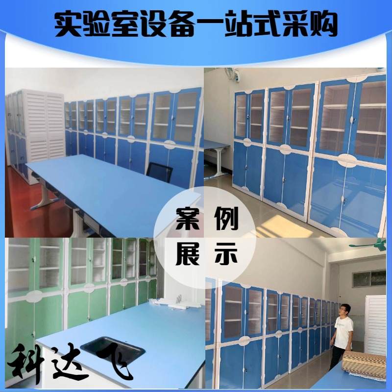 仪器室仪器柜PP药品柜酸碱柜危化品柜毒品柜全钢通风柜PP化学品,淘宝优惠券,粉丝福利购,淘宝优惠卷