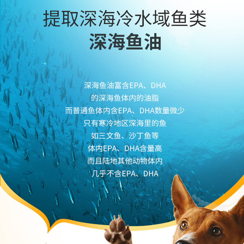 赫赫医宠深海鱼油猫用狗狗宠物猫咪专用美毛护肤呵护毛发靓毛蓝猫 - 图2